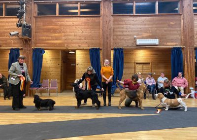 People showing dogs in a village hall